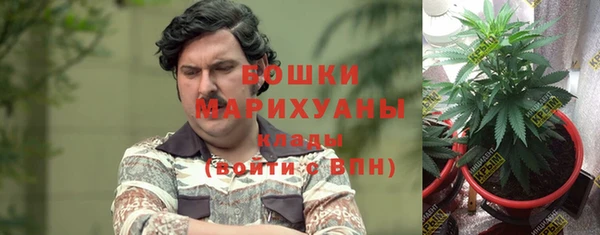 мескалин Арсеньев