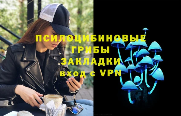 не бодяженный Аркадак